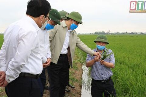 Thông báo của UBND xã về  xử lý các trường hợp vi phạm dùng điện đánh chuột trên đất canh tác trồng lúa và hoa màu
